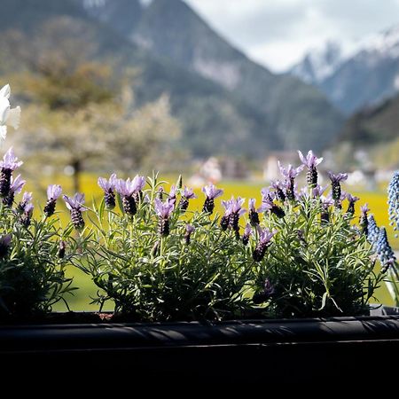 Apart-Garni Innerwiesn Mayrhofen Dış mekan fotoğraf